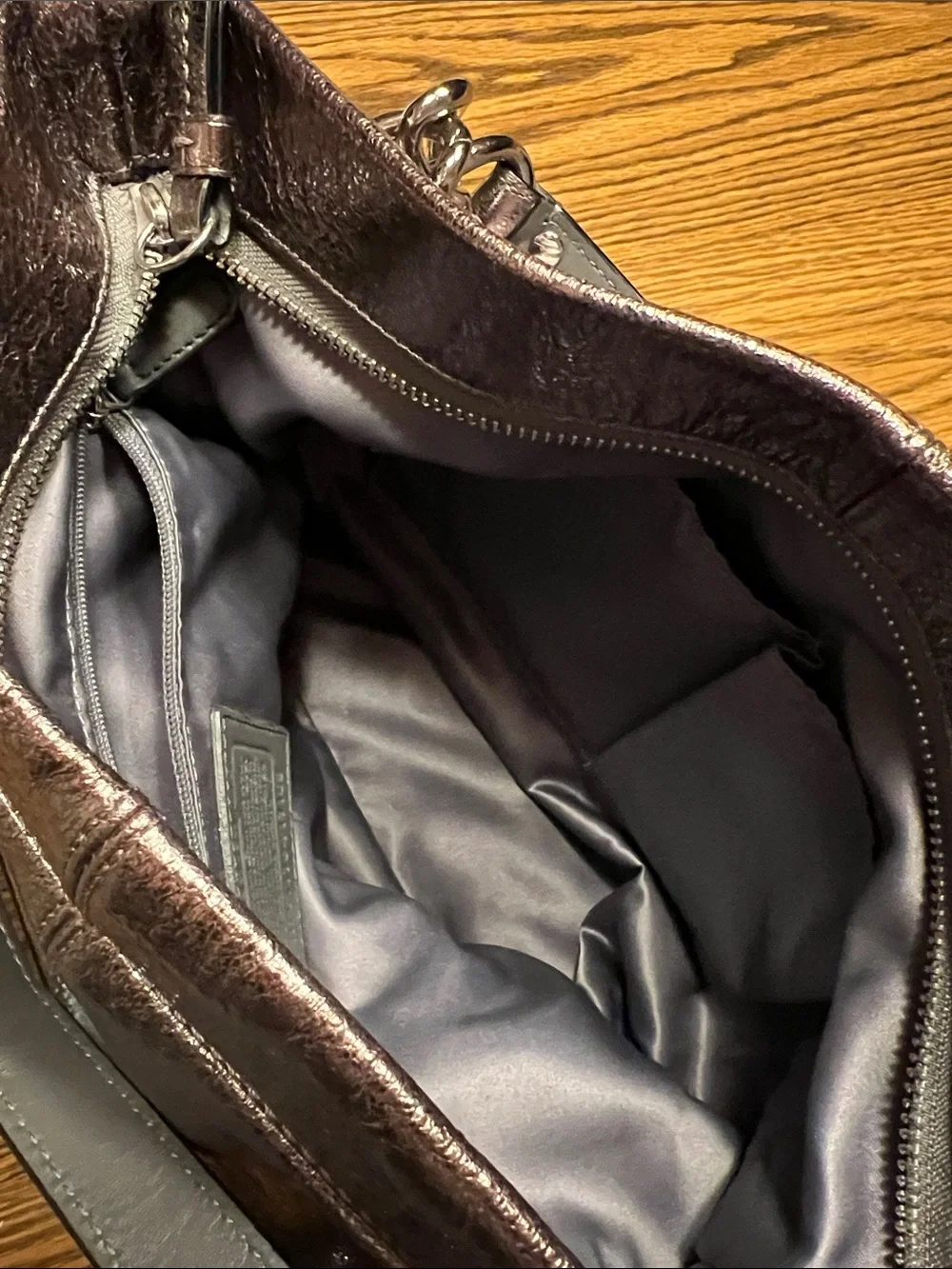 Coach Metallic Brooke Leather Pewter Hobo Bag